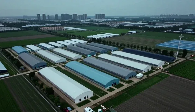 网络推广在晋中本地企业中的实际应用场景分析
